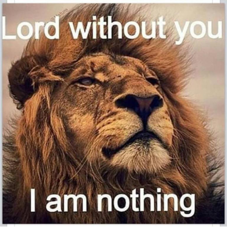 12004951_10153182344361238_8059852864695399636_n